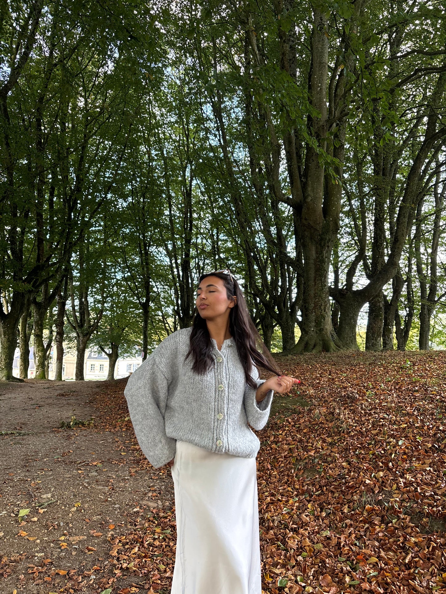 GILET SANDRINE GRIS